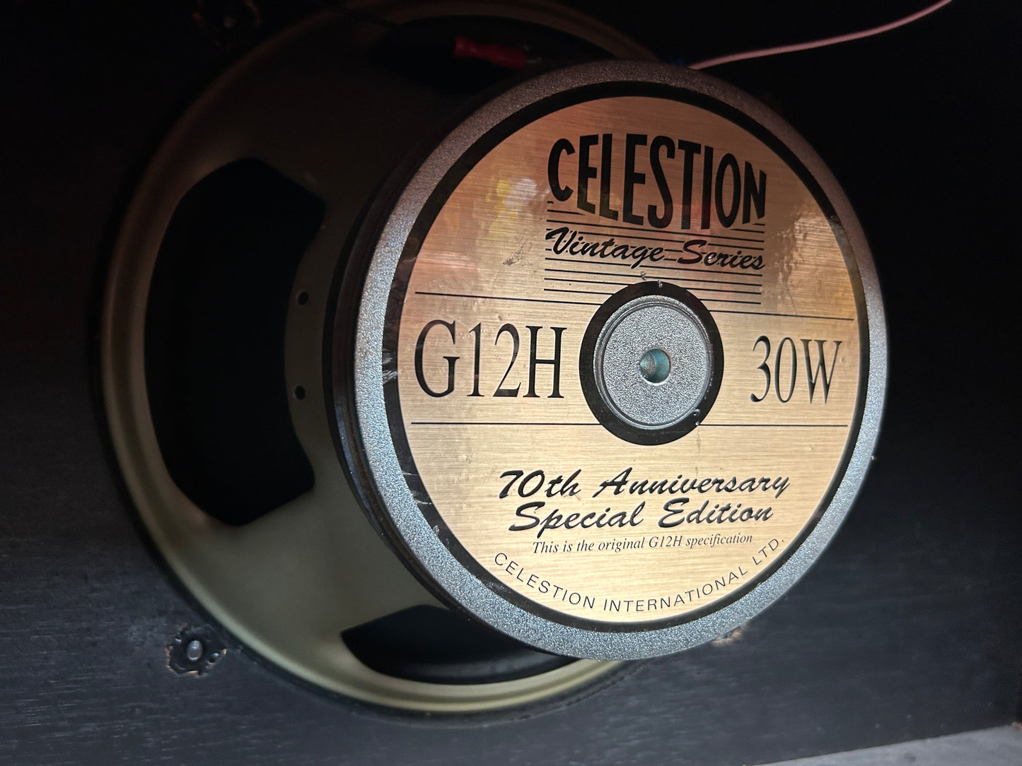 Rivera C112 Cab with Celestion G12H Speaker
