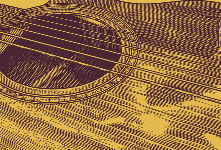 Acoustic Guitars