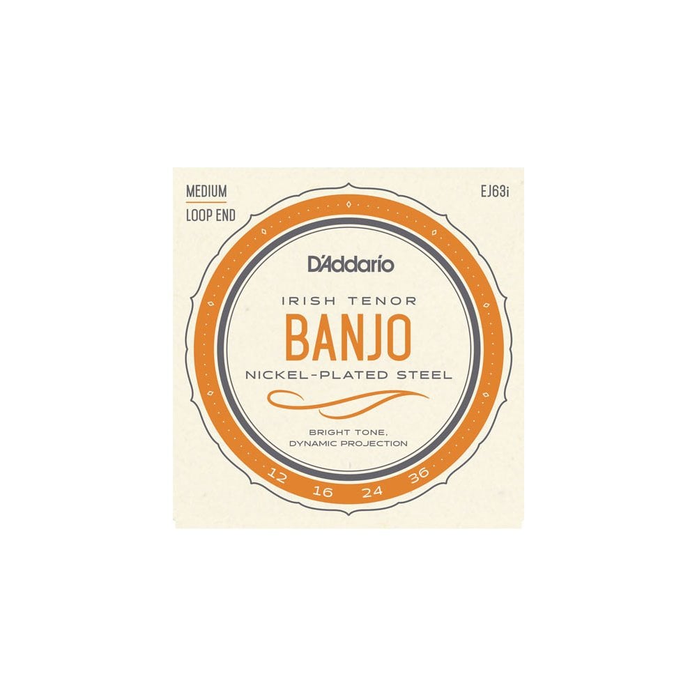 D'addario EJ63i Irish Tenor Banjo, Nickel, 12-36