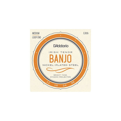 D'addario EJ63i Irish Tenor Banjo, Nickel, 12-36