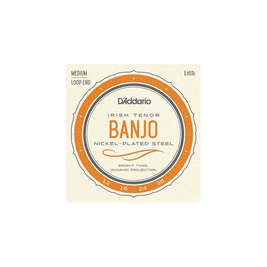 D'addario EJ63i Irish Tenor Banjo, Nickel, 12-36