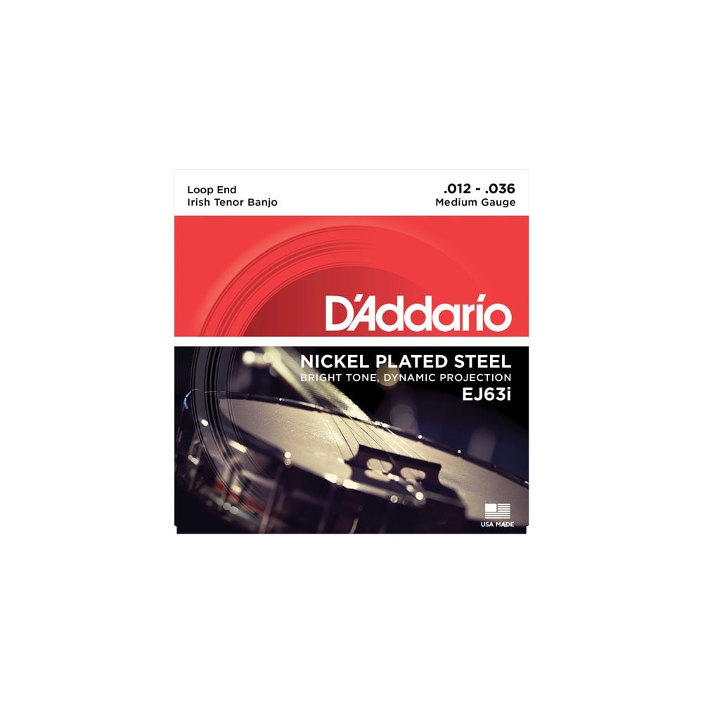 D'addario EJ63i Irish Tenor Banjo, Nickel, 12-36