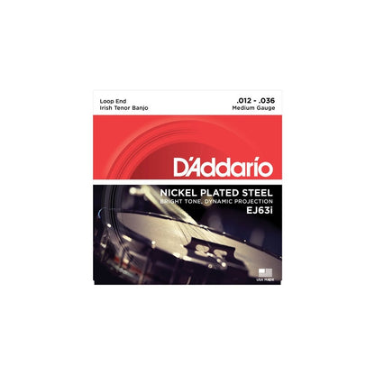 D'addario EJ63i Irish Tenor Banjo, Nickel, 12-36