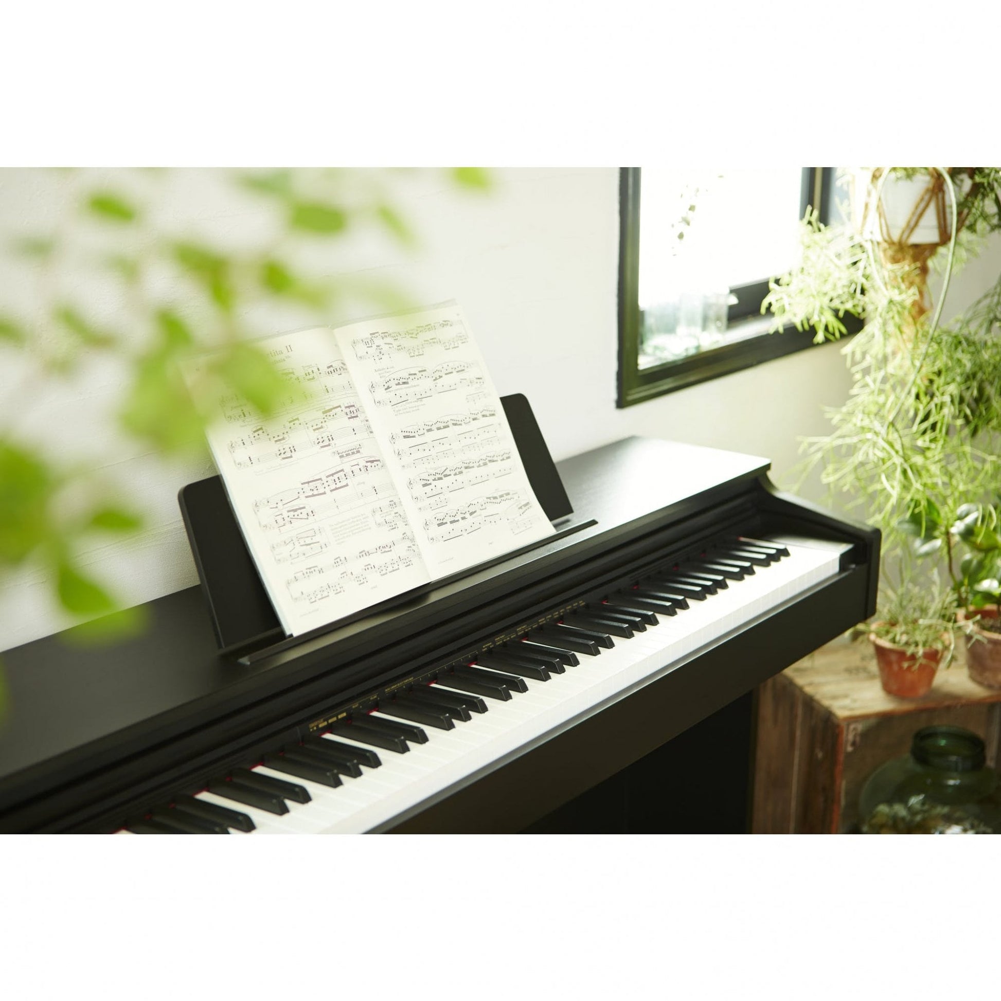 Casio Celviano AP-270 Digital Piano Black