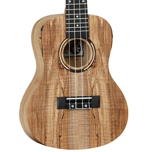 Tanglewood TWT 10 Concert Ukulele, Natural Satin W/Gig Bag