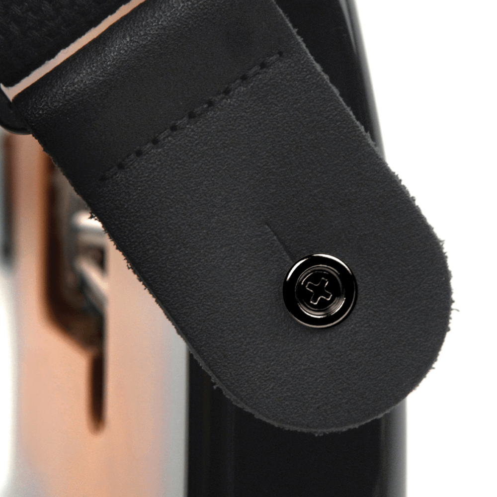 D'addario Brass End Pins 2pk, Black