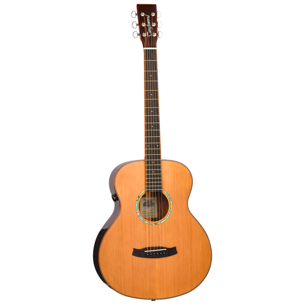 Tanglewood TRS1E Mini Rosewood Smart Acoustic Guitar, Natural