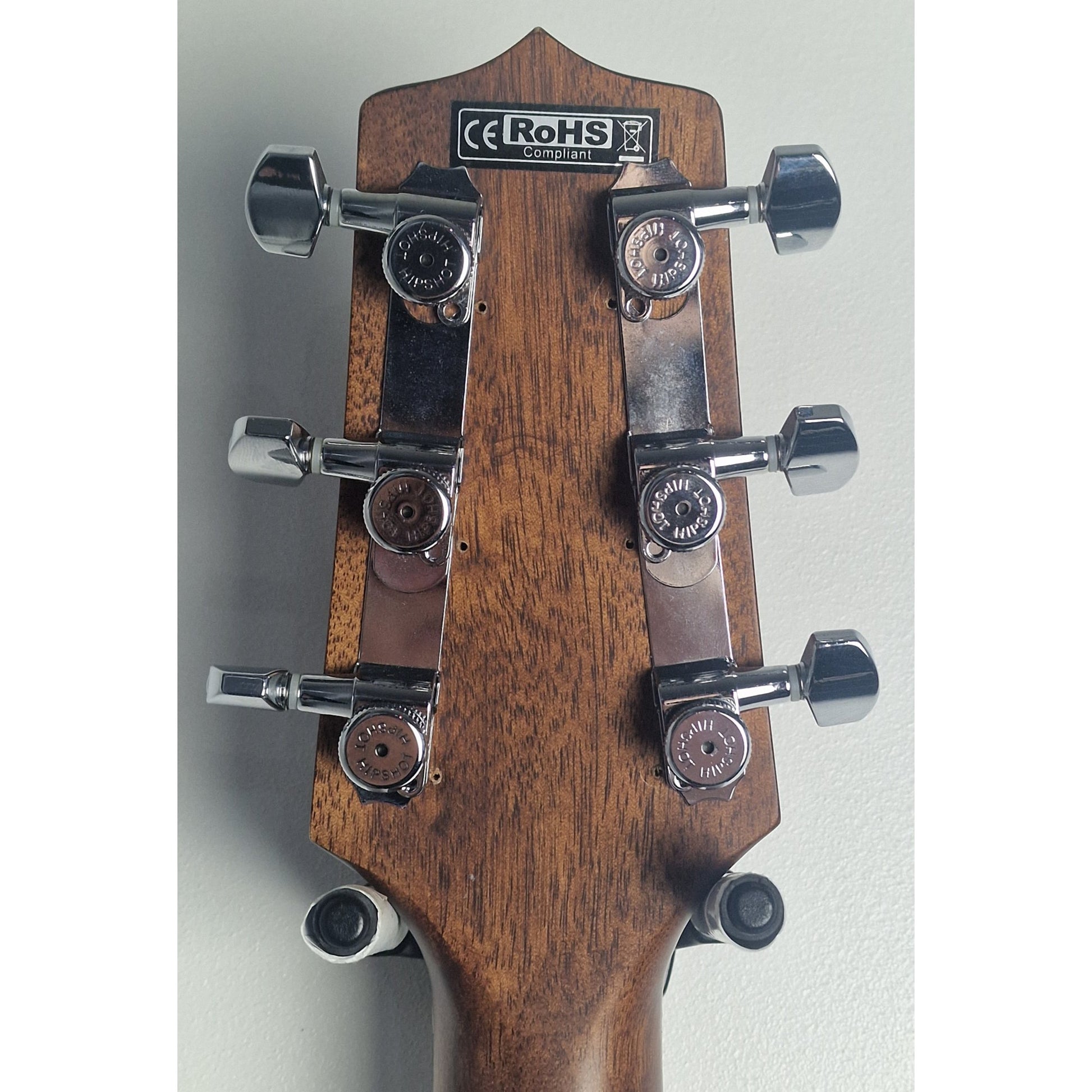 Takamine GF15CE, Natural