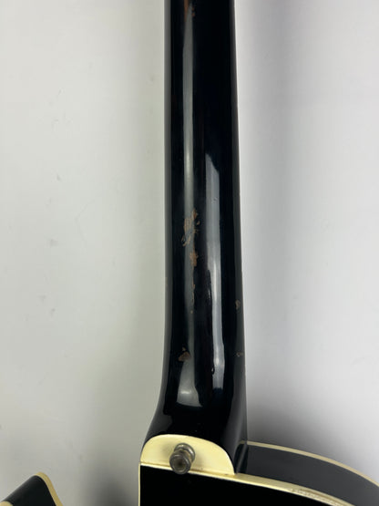 Ibanez AE410BK Electro-Acoustic, Black